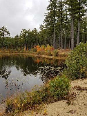 Sandee - Clough State Park