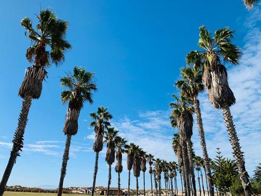Sandee Bruiser's Beach