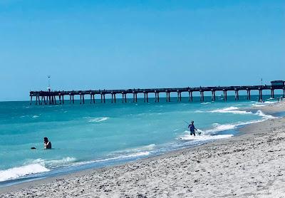 Sandee - Brohard Beach And Paw Park