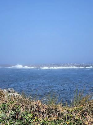 Sandee - Bandon South Jetty Park