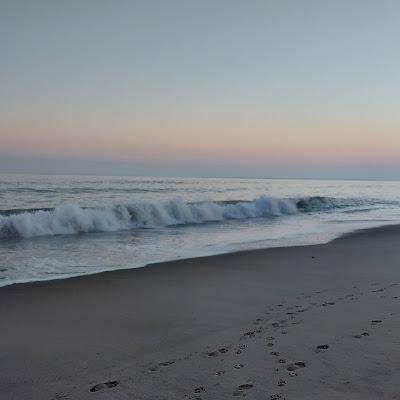 Sandee - Roy Carpenter's Beach