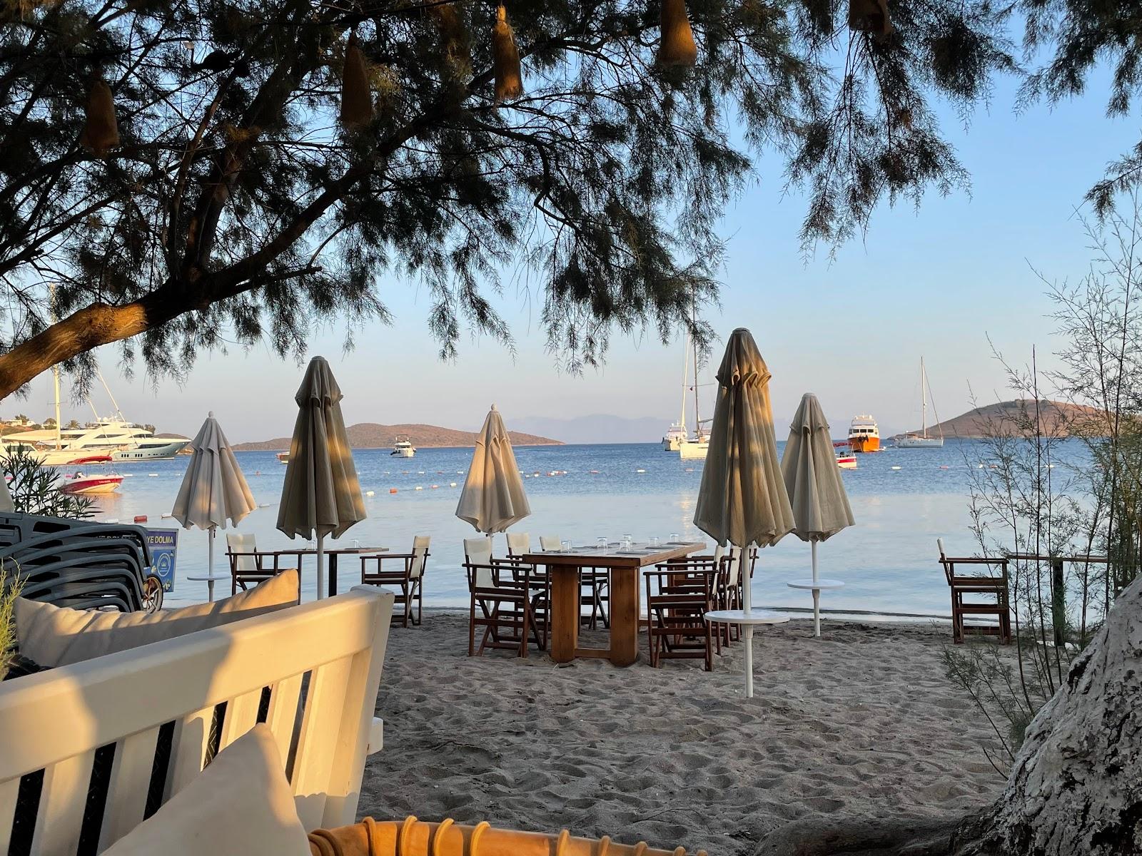 Sandee Dalga Beach