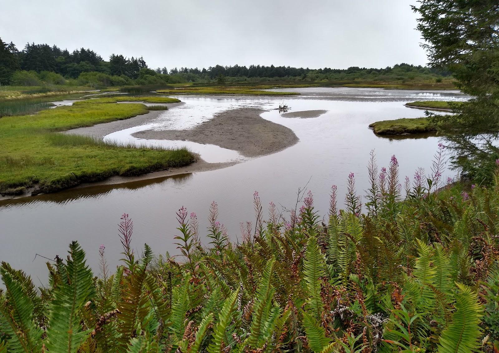 Sandee Sitka Sedge State Natural Area