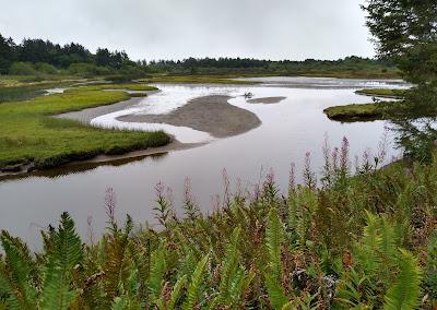 Sandee - Sitka Sedge State Natural Area