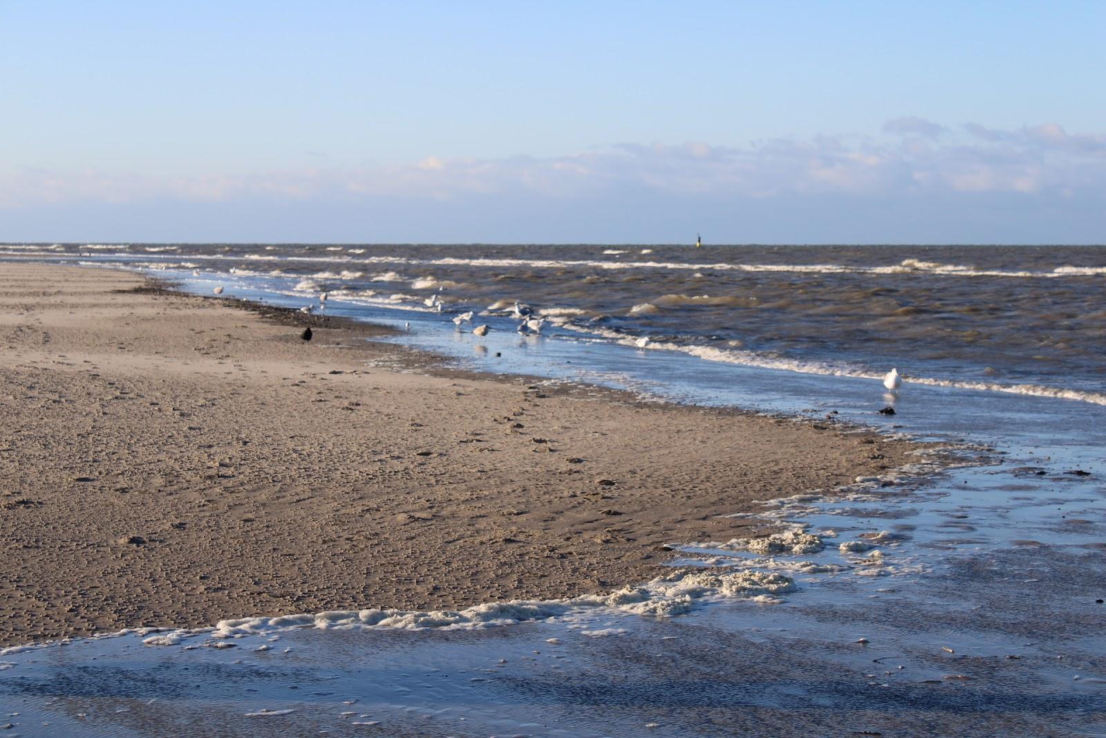 Sandee Strandpaviljoen Paal 17 Aan Zee Photo