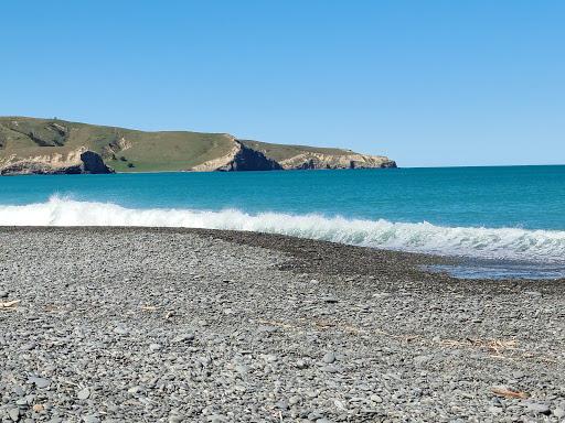 Sandee Birdlings Flat Beach Photo