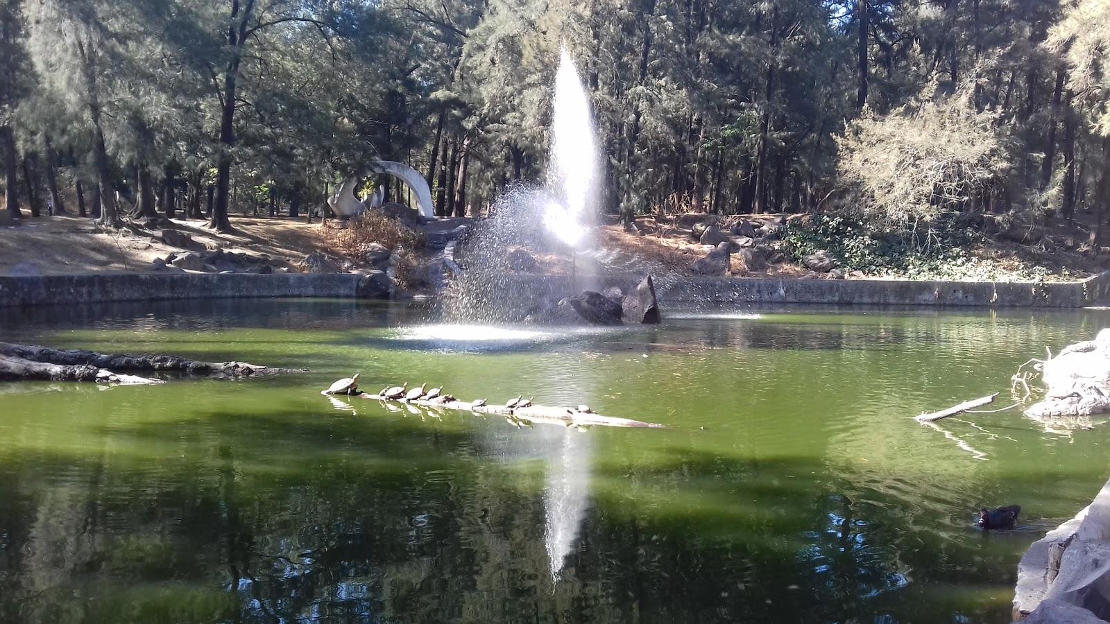 Sandee Lago De Los Patos
