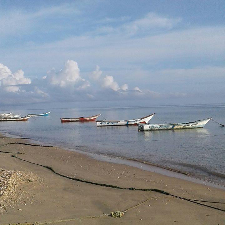 Sandee Playa Taguapire
