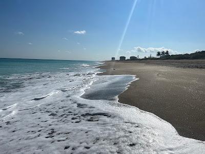 Sandee - Surfside Park