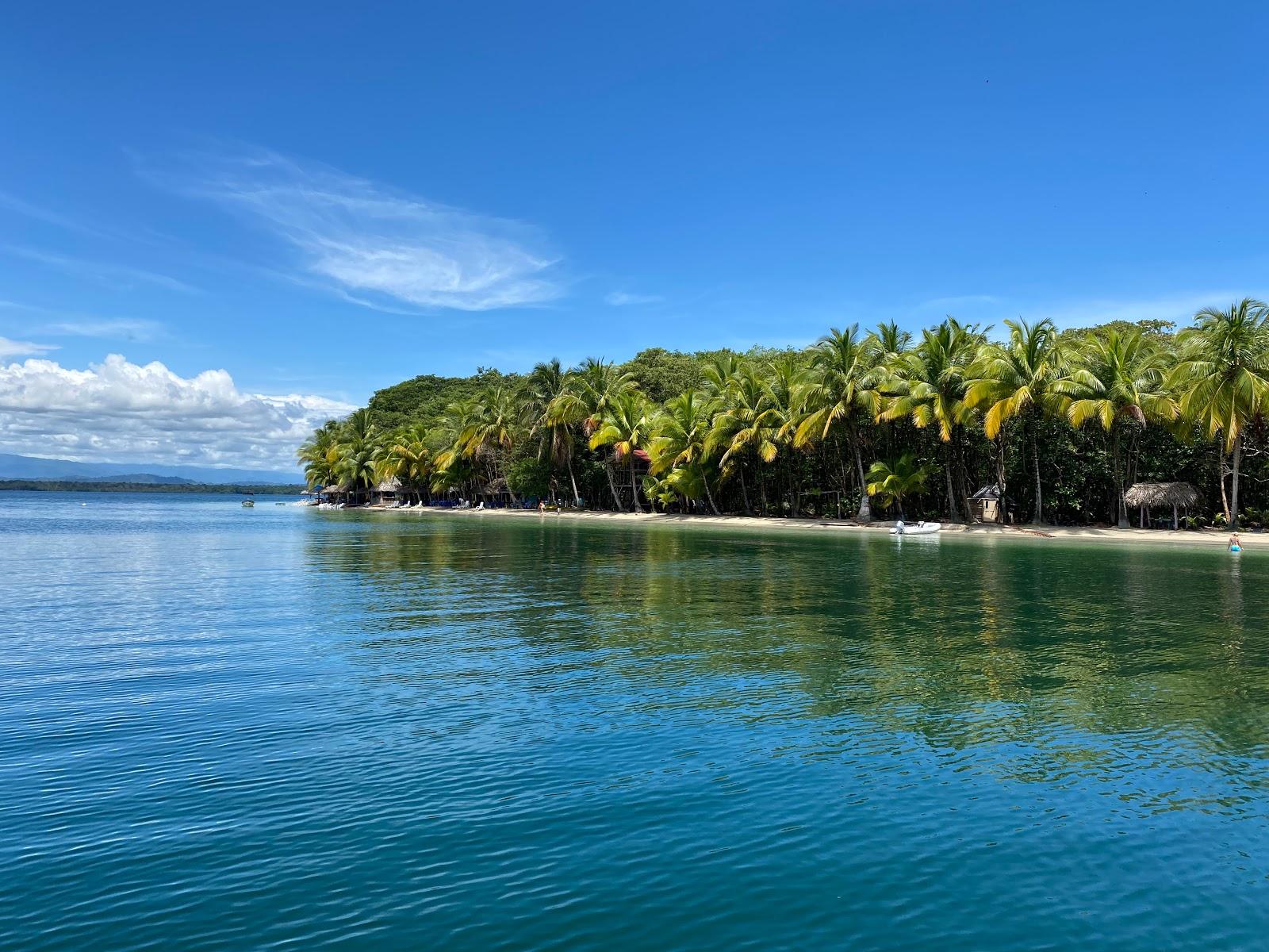 Sandee - Starfish Beach