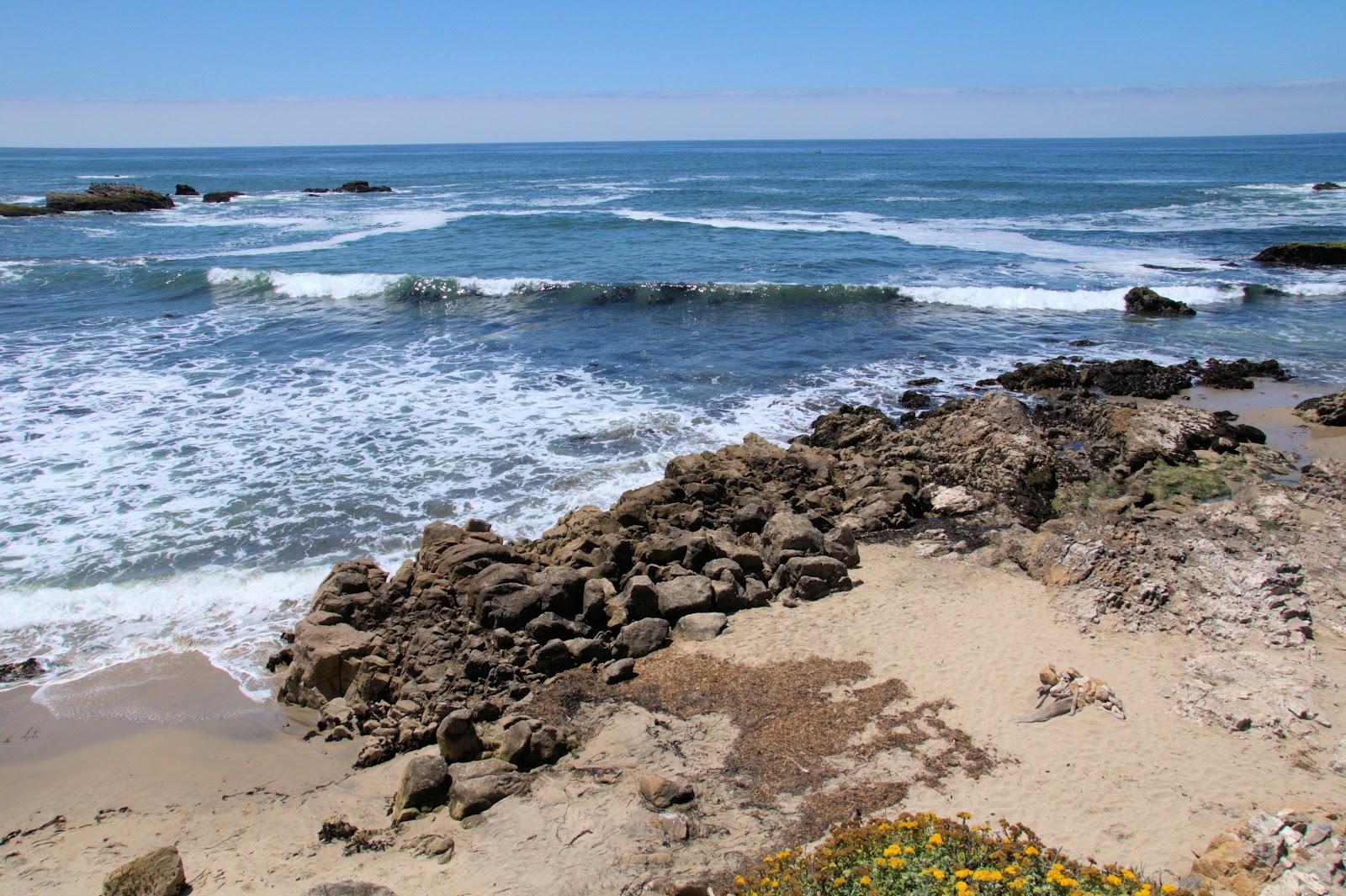 Sandee - Pescadero State Beach - South Beach