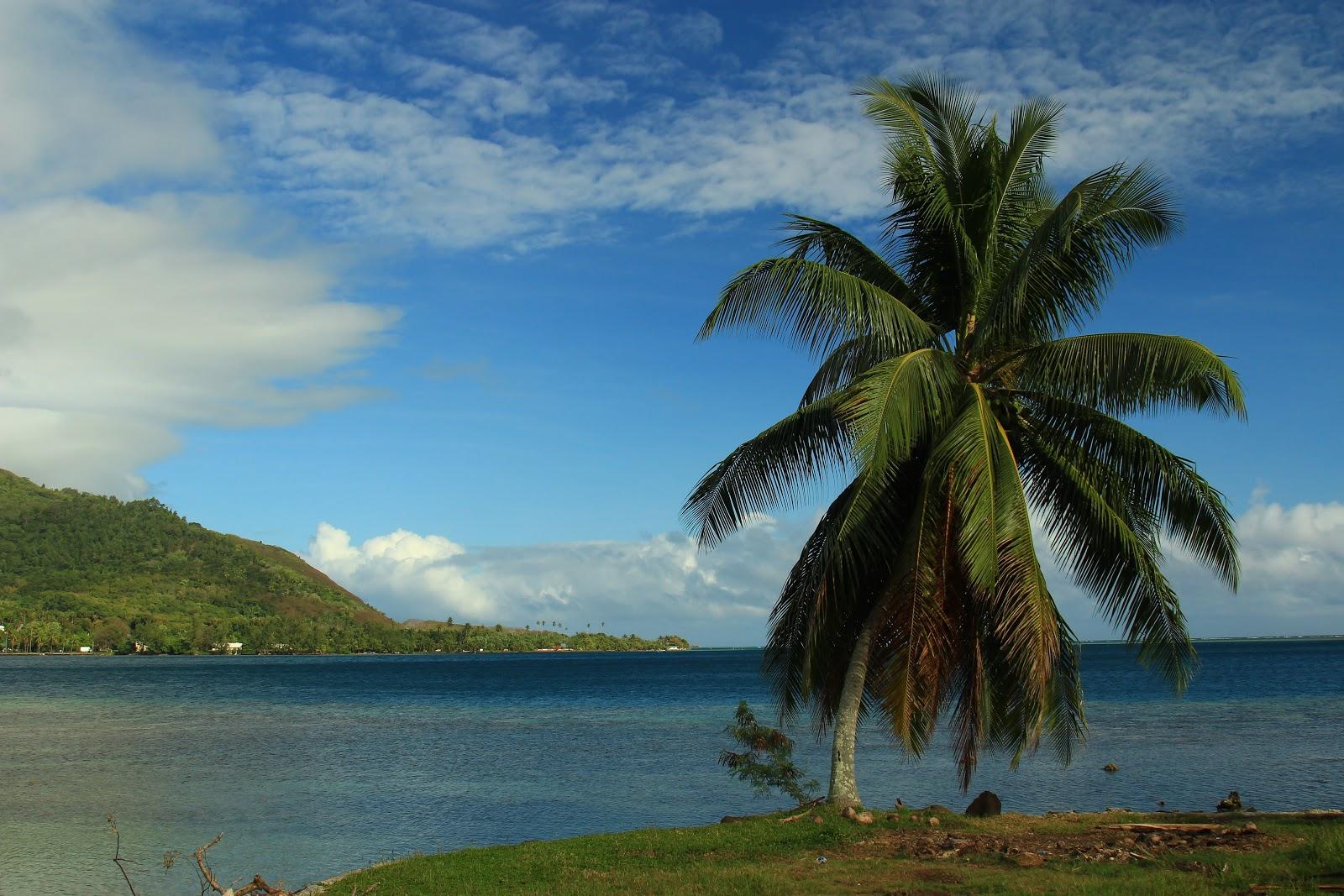 Sandee Cooks Bay