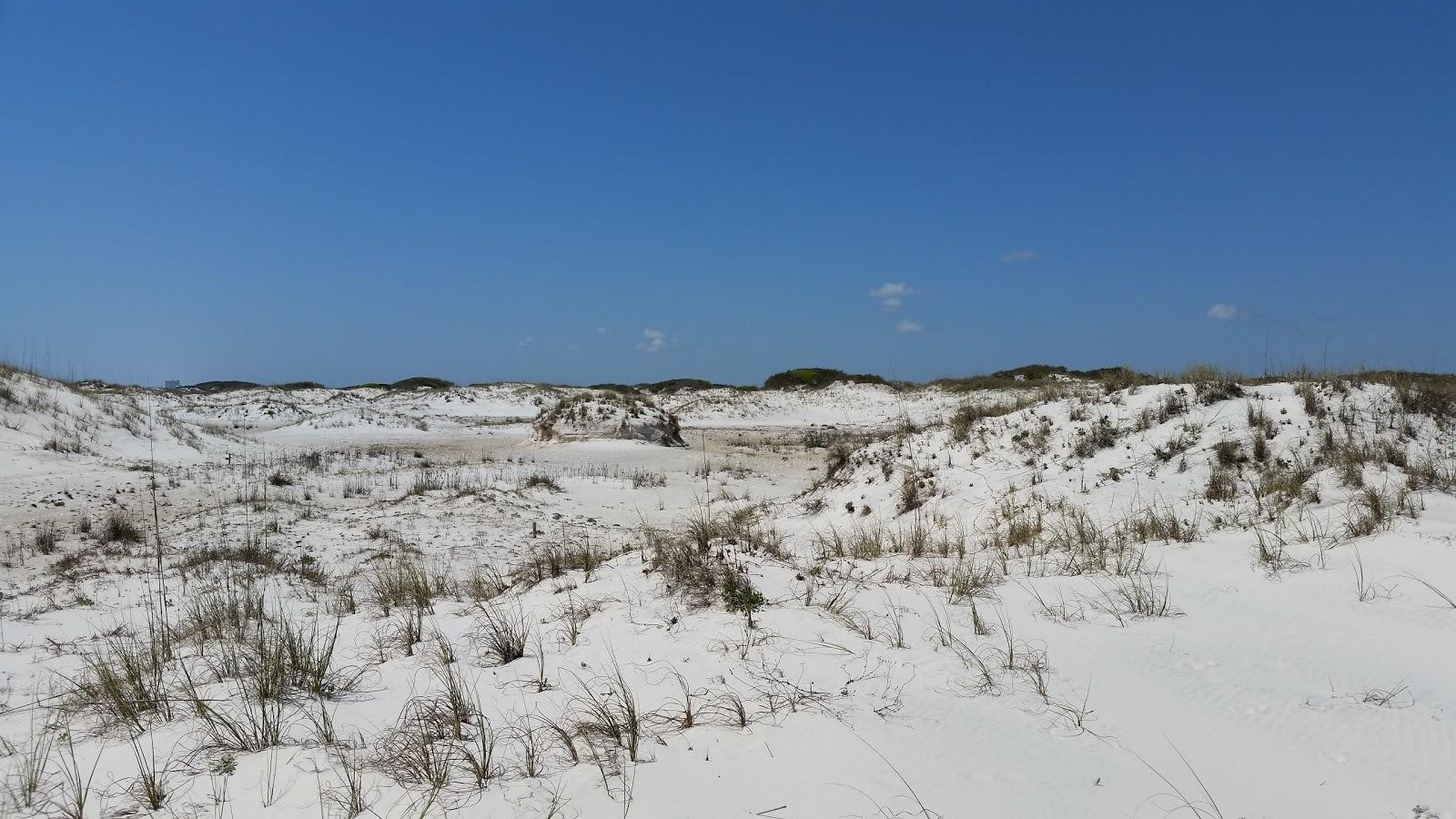 Sandee Bon Secour National Wildlife Refuge Photo