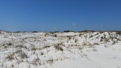 Sandee - Bon Secour National Wildlife Refuge