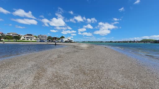 Sandee Bramley Drive Reserve Beach Photo