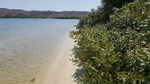 Sandee - An Nuhud Beach