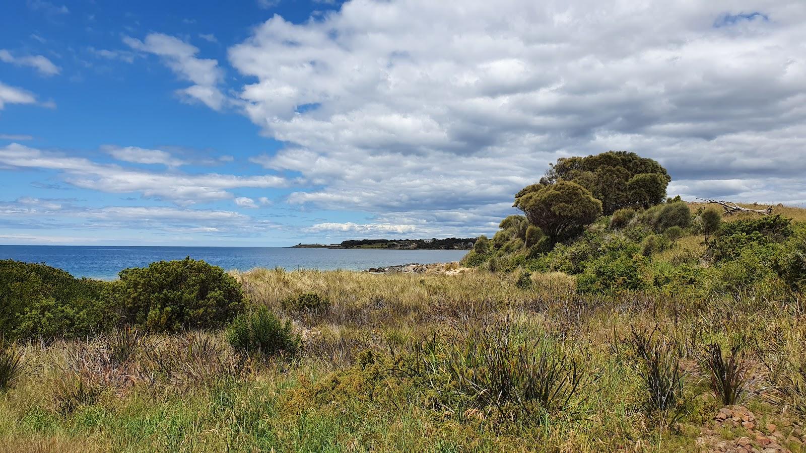 Sandee Coswell Beach Photo