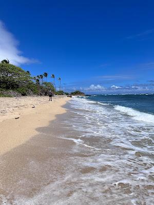 Sandee - Waiehu Beach Park