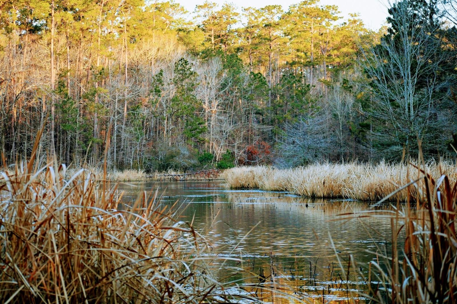 Sandee Indian Creek Recreation Area Photo