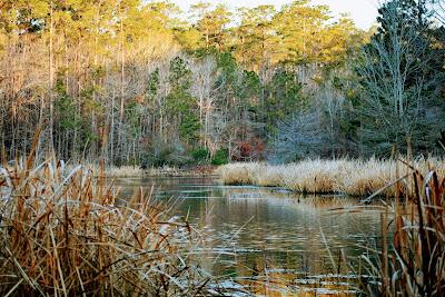 Sandee - Indian Creek Recreation Area