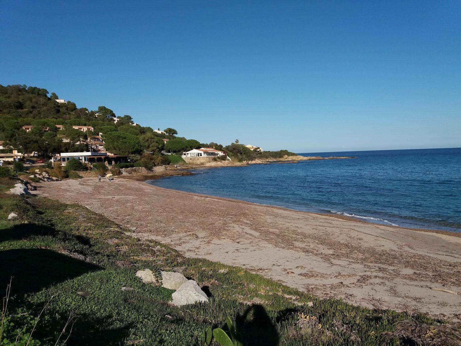 Sandee Tarco Beach