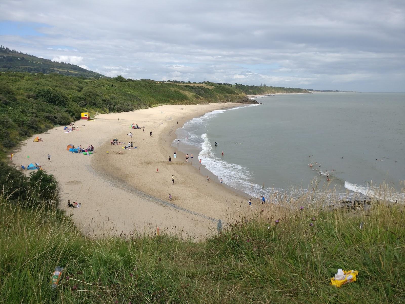 Sandee Ballymoney Beach
