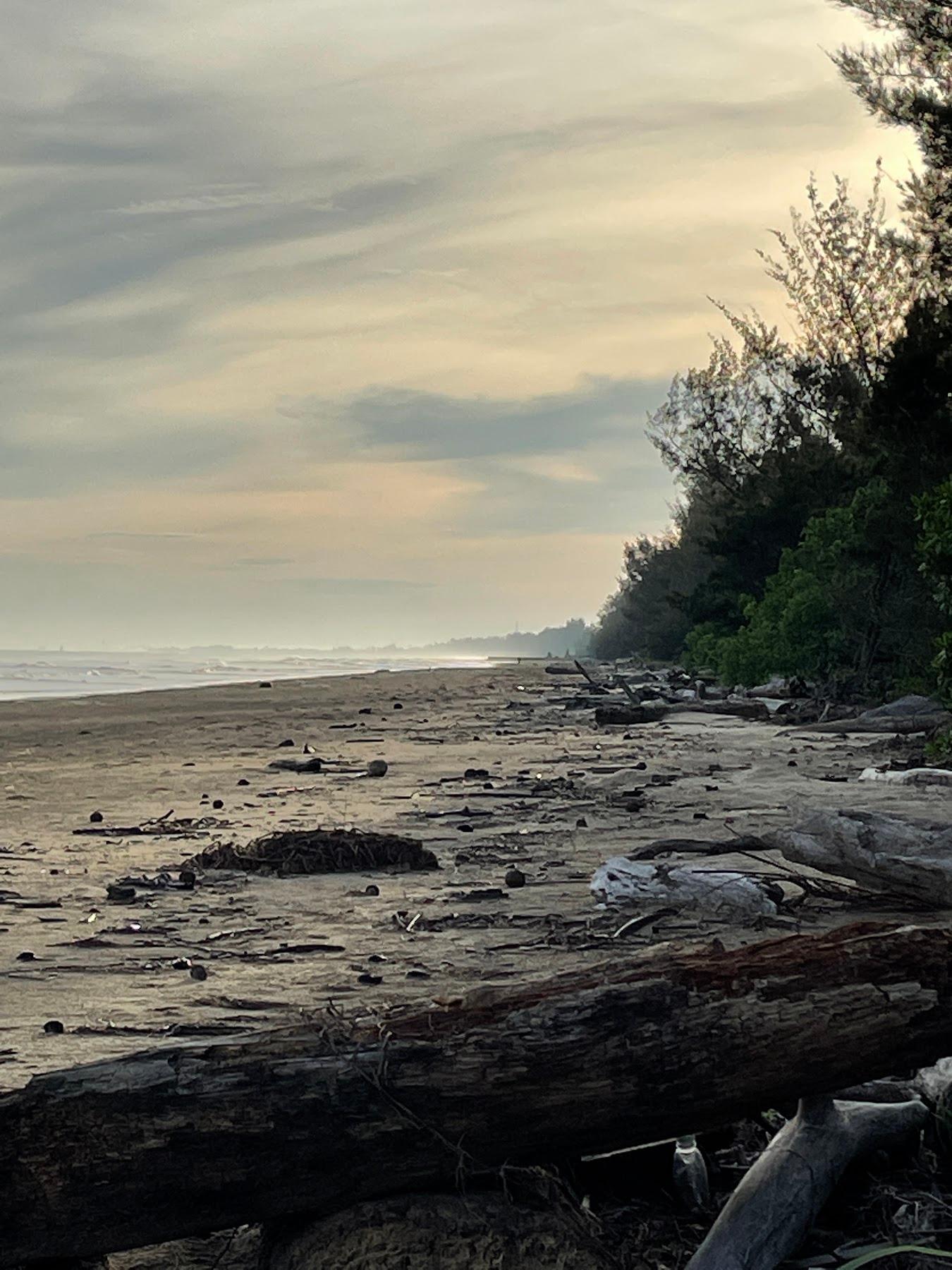 Sandee Belait Beach Photo