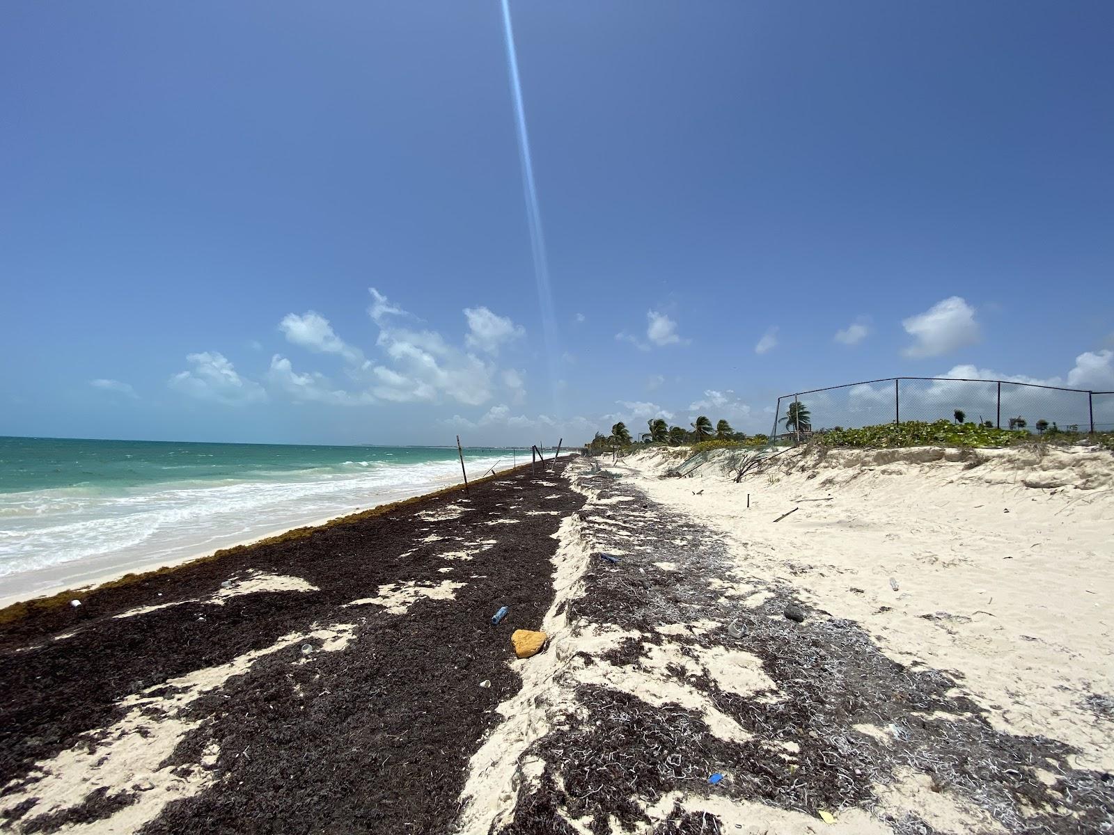 Sandee Cabanas Isla Blanca Photo