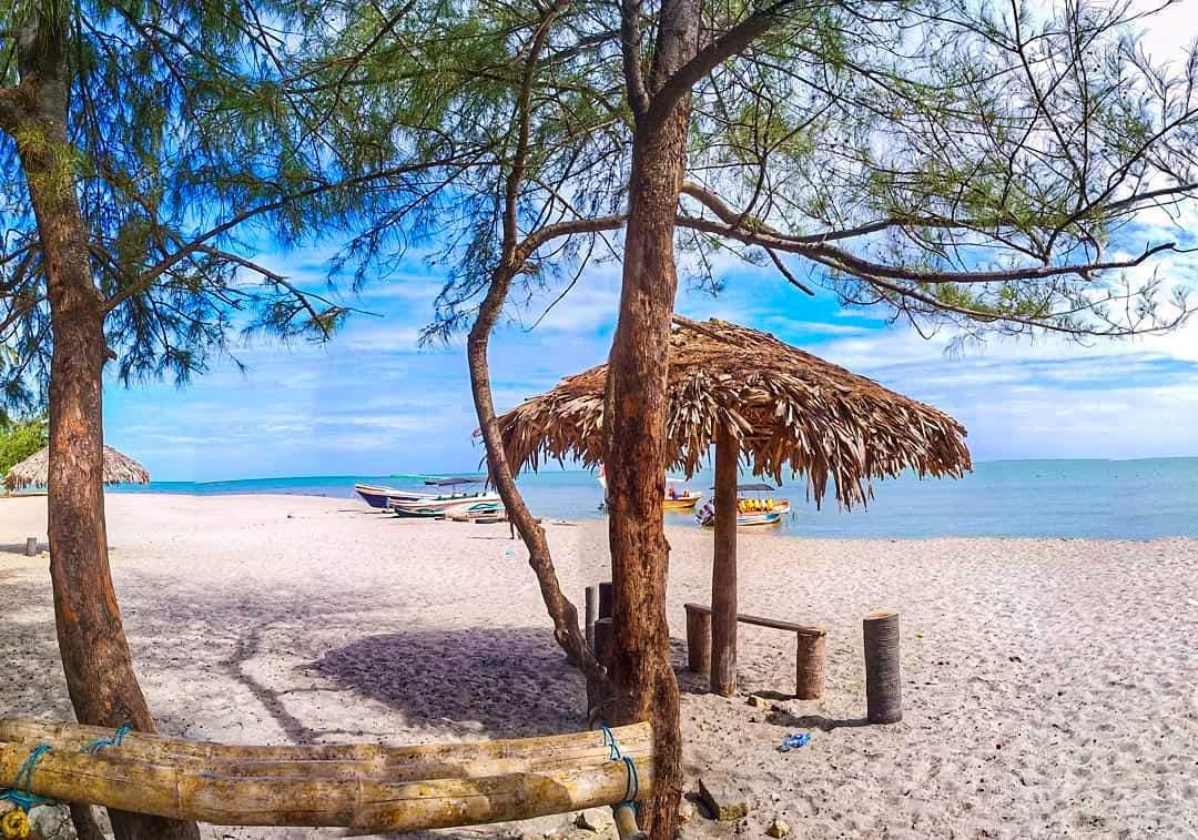 Sandee Casuarina Beach