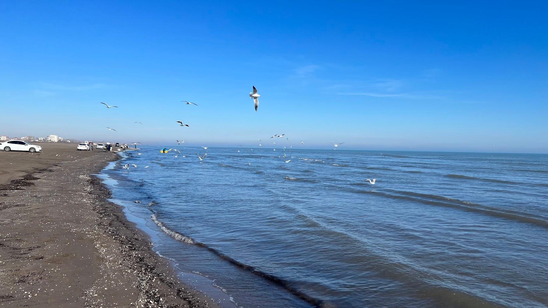 Sandee Chamkhaleh Beach Photo