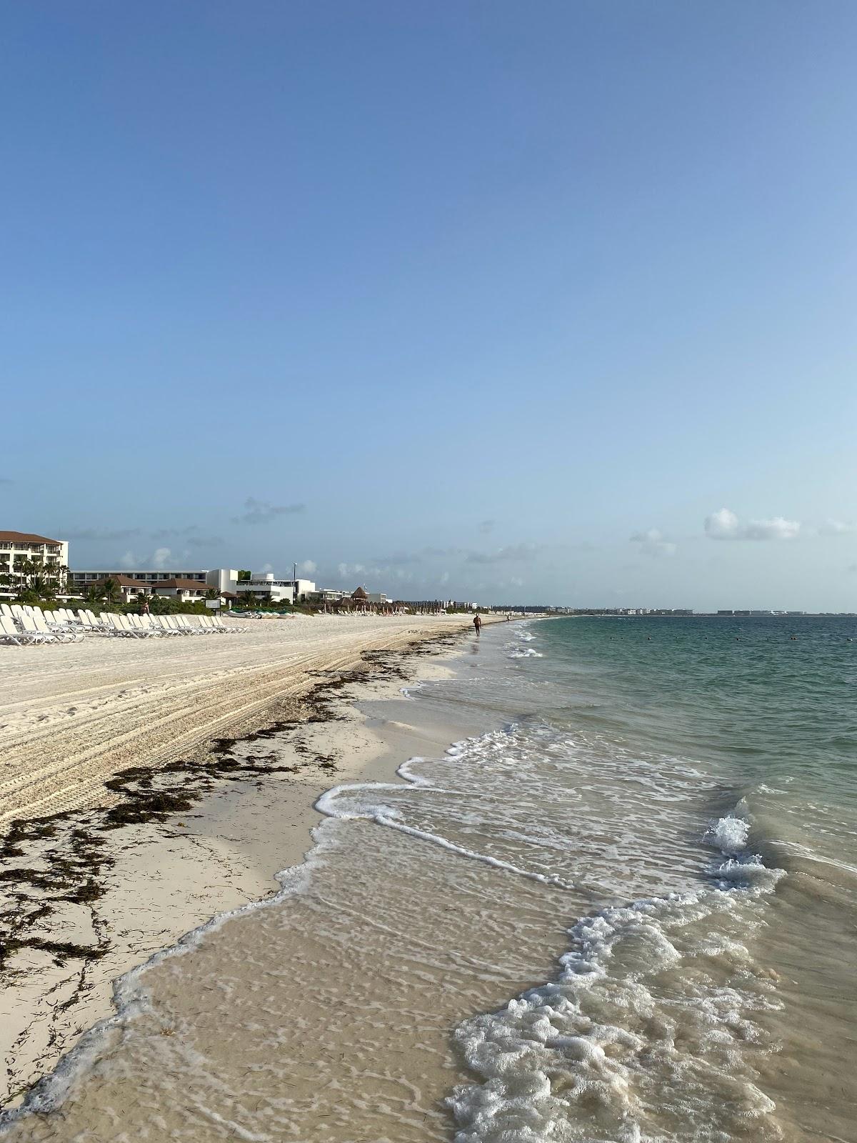 Sandee Dreams Playa Mujeres Resort & Spa