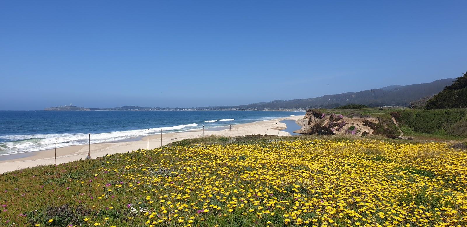 Sandee Surfers Beach Photo