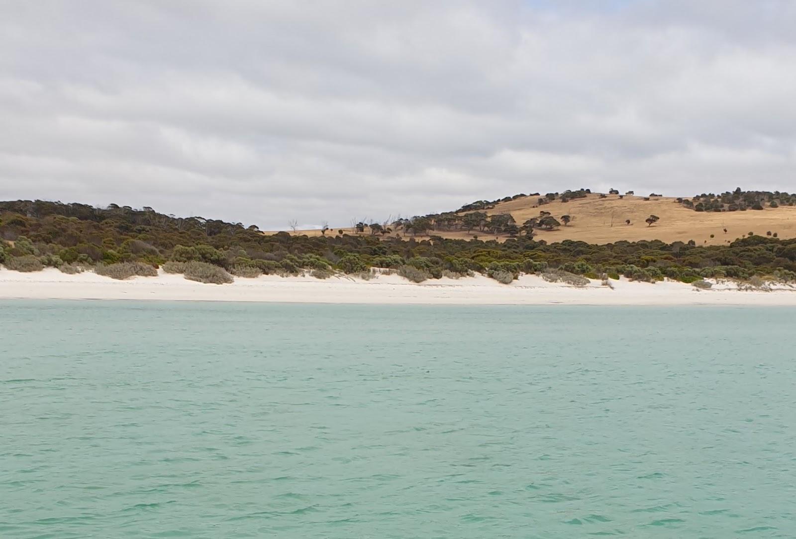 Sandee Picnic Beach Photo