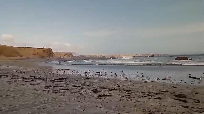 Sandee Las Minilagunas De Playa Paraiso