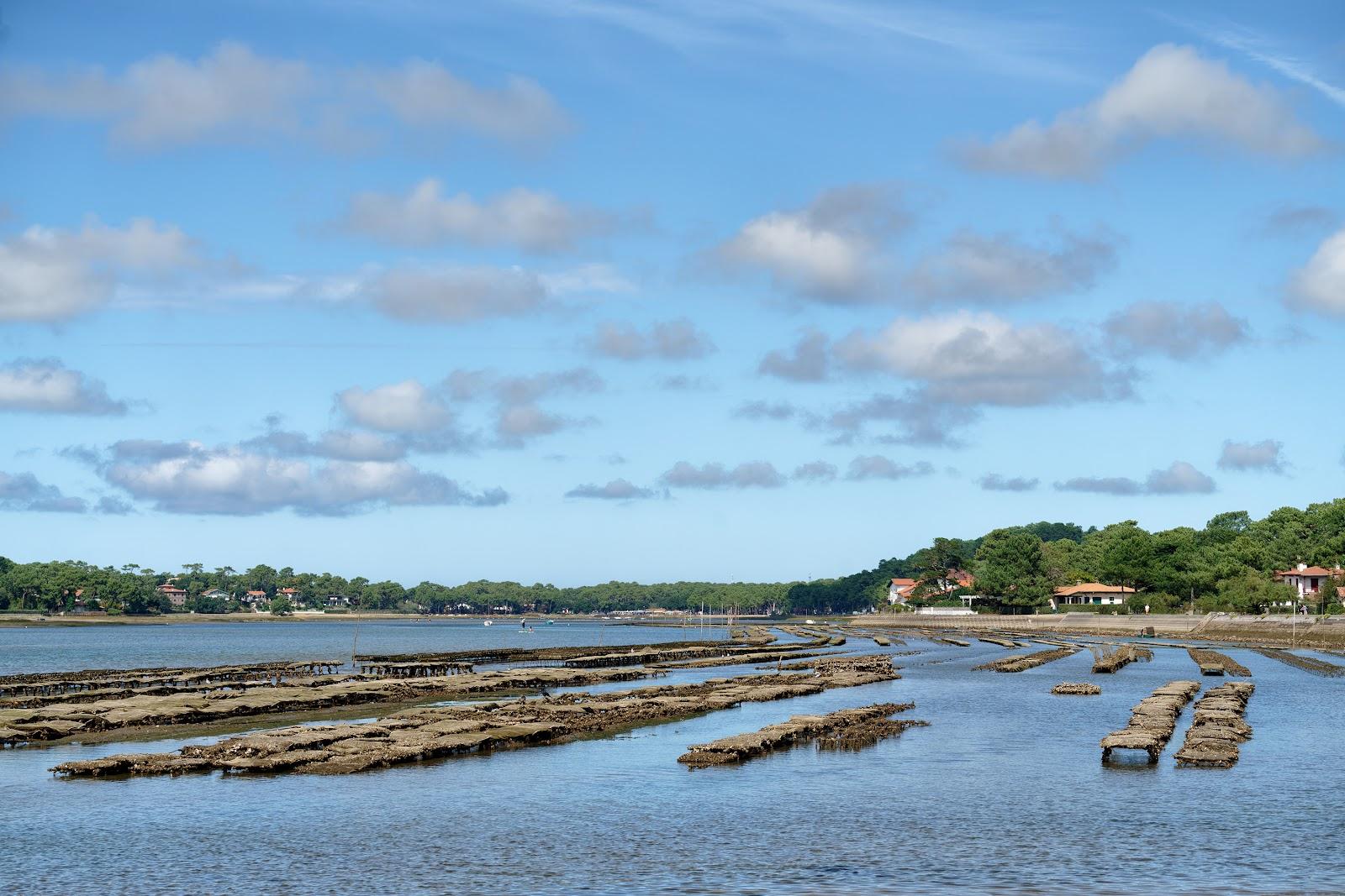 Sandee Plage Du Parc - Lac Photo