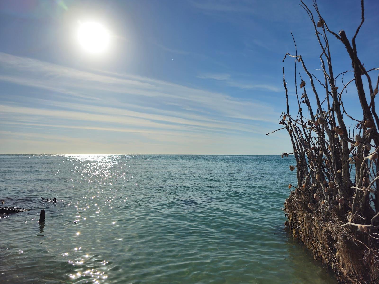 Sandee - Beer Can Island Beach