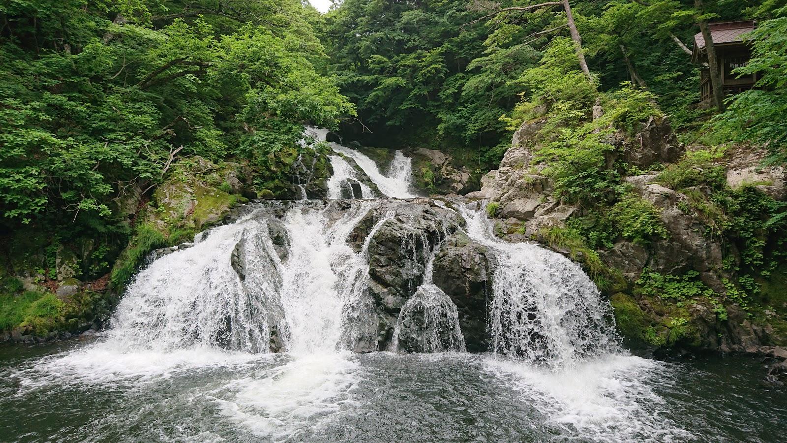 Sandee Nakano White Falls