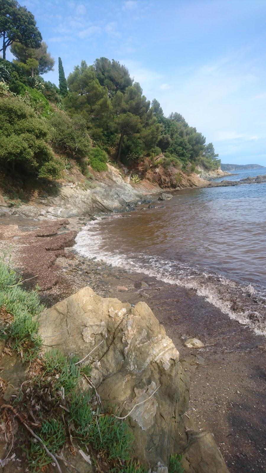 Sandee Plage De La Bouillabaisse Photo