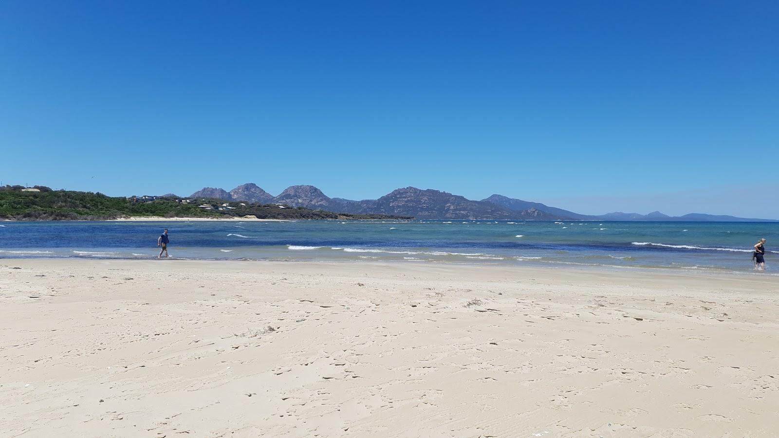 Sandee Sandpiper Beach Photo