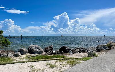 Sandee - Harry Harris Beach Park