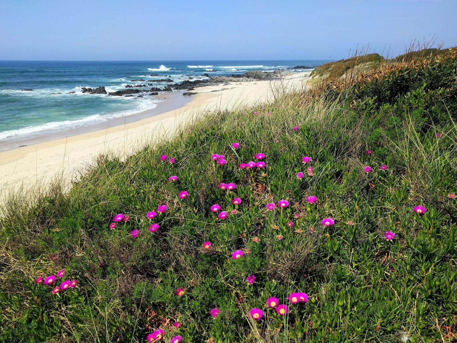 Sandee - Praia De Afife