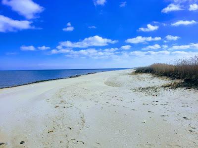 Sandee - Bennett's Pier Beach