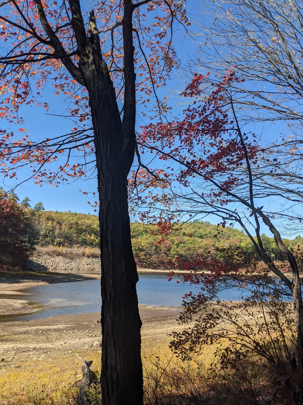 Sandee Pinnacle Park