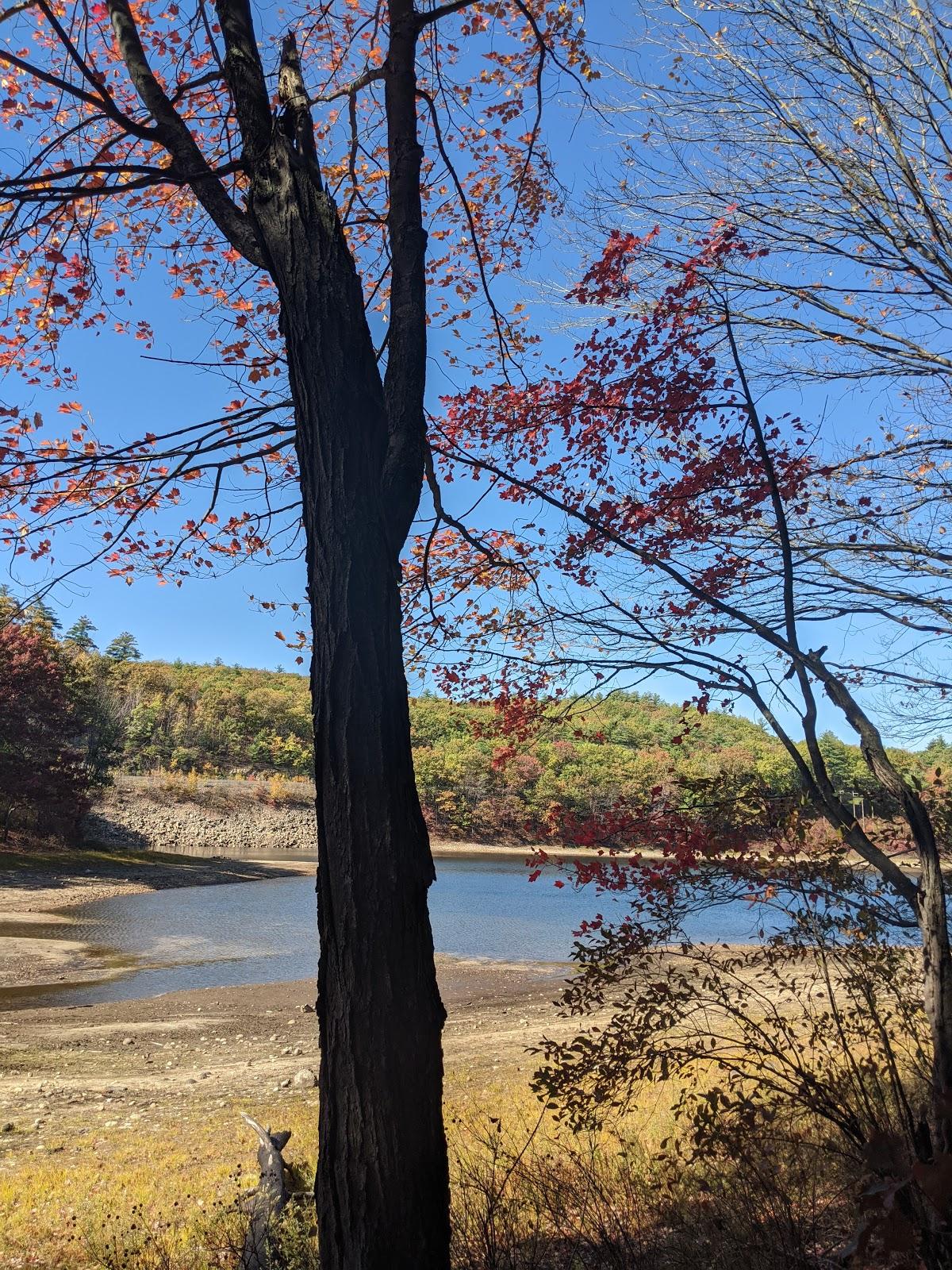 Sandee Pinnacle Park