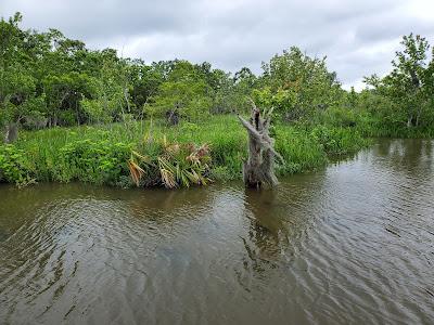 Sandee - Northshore Beach