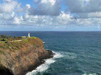 Sandee - Kilauea Point