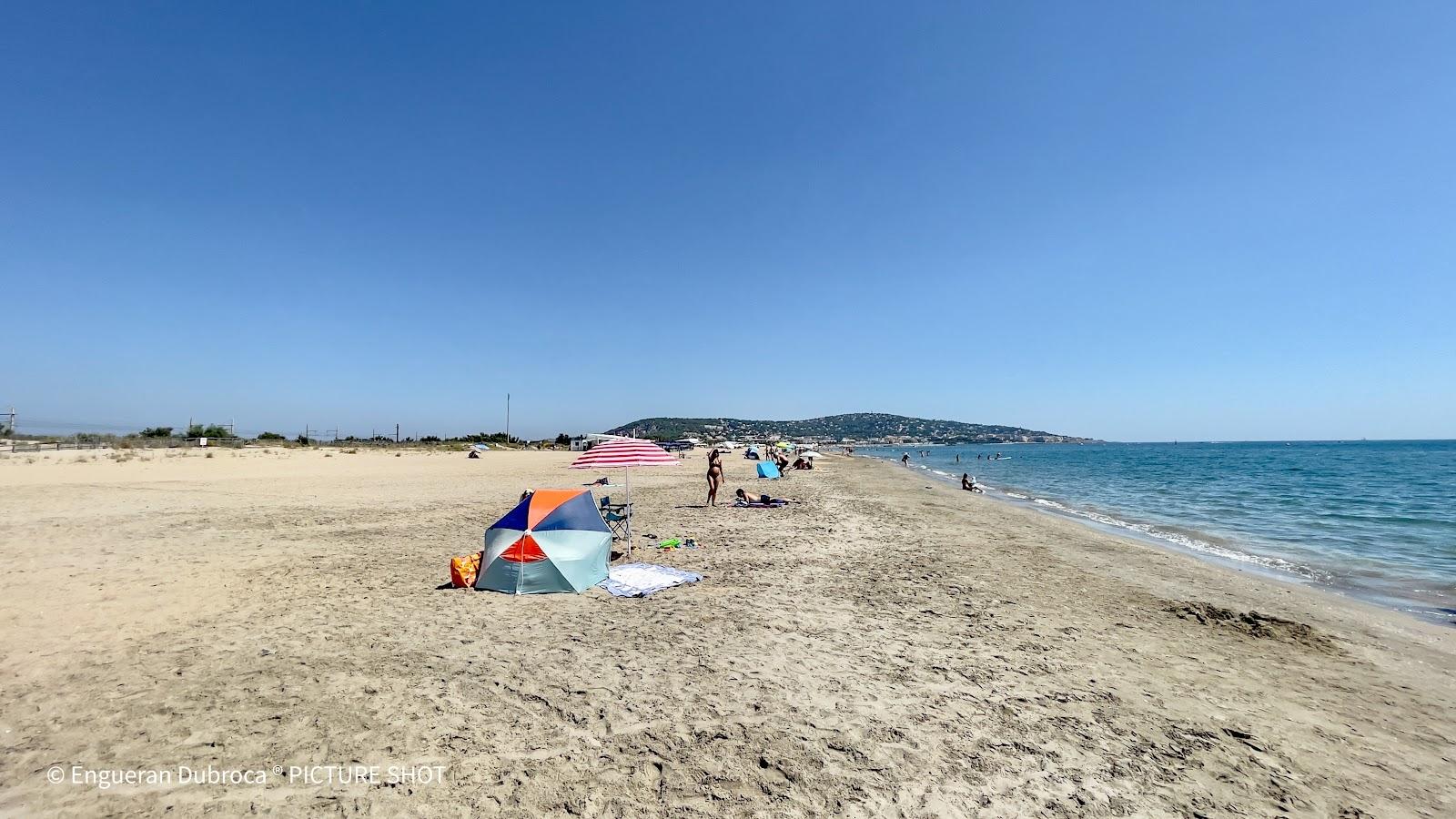 Sandee Plage De La Baleine