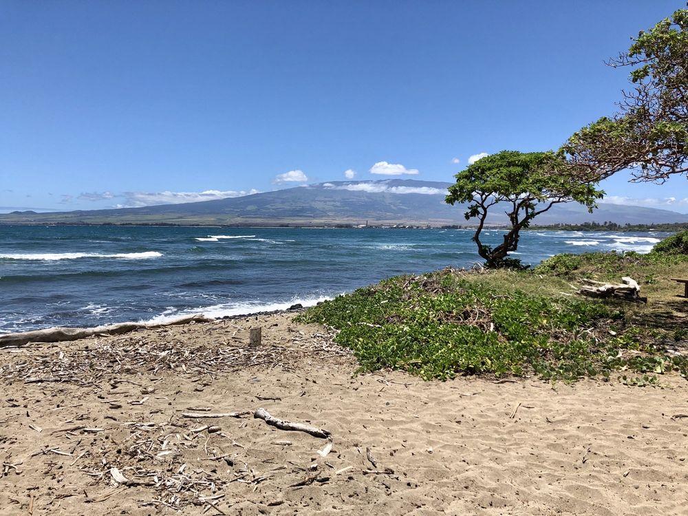 Sandee - Waiehu Beach Park