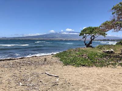 Sandee - Waiehu Beach Park