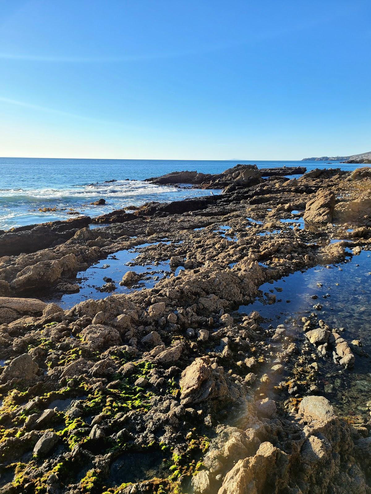 Sandee Arch Beach Photo